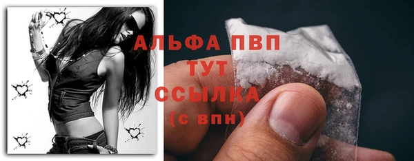 твердый Корсаков