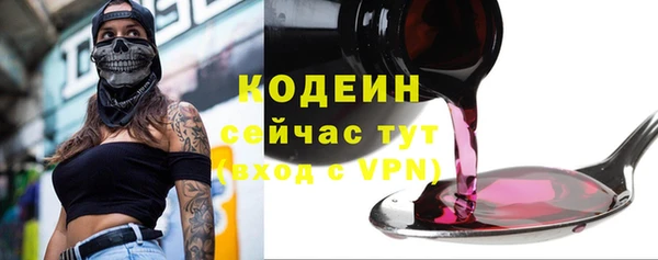 дурь Дубна