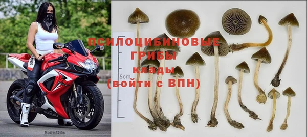 амф Коряжма