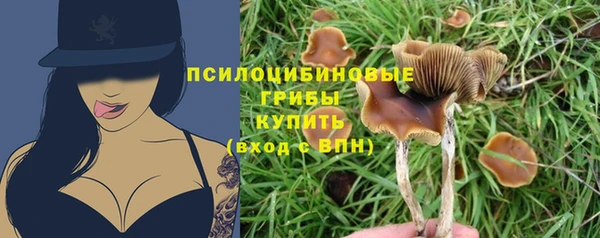твердый Корсаков