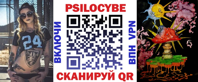 Псилоцибиновые грибы Psilocybe купить Киржач