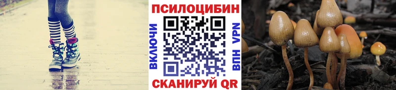 Псилоцибиновые грибы мухоморы Киржач