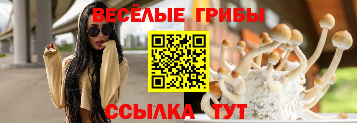 Галлюциногенные грибы ЛСД  Вход с VPN  Киржач 