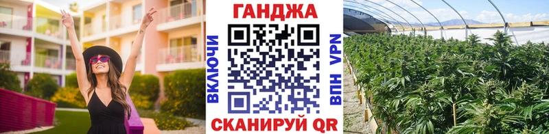 Марихуана сатива  купить   Киржач 